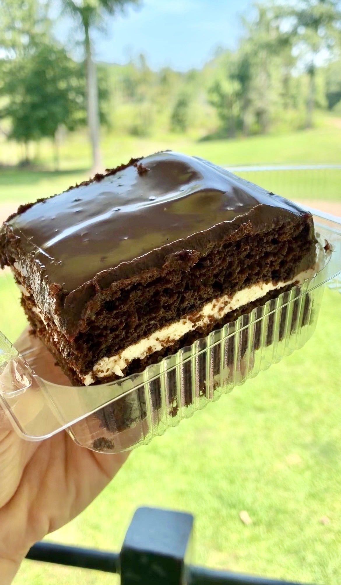 Cake Slice of the Week
